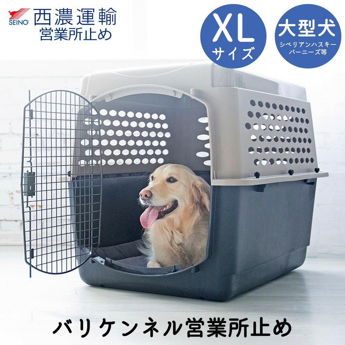 リッチェル キャリーケース 超小型犬 小型犬 猫 うさぎ用 体重目安8kg以下 プラスチック製 キャンピングキャリーファイン S ブラウン