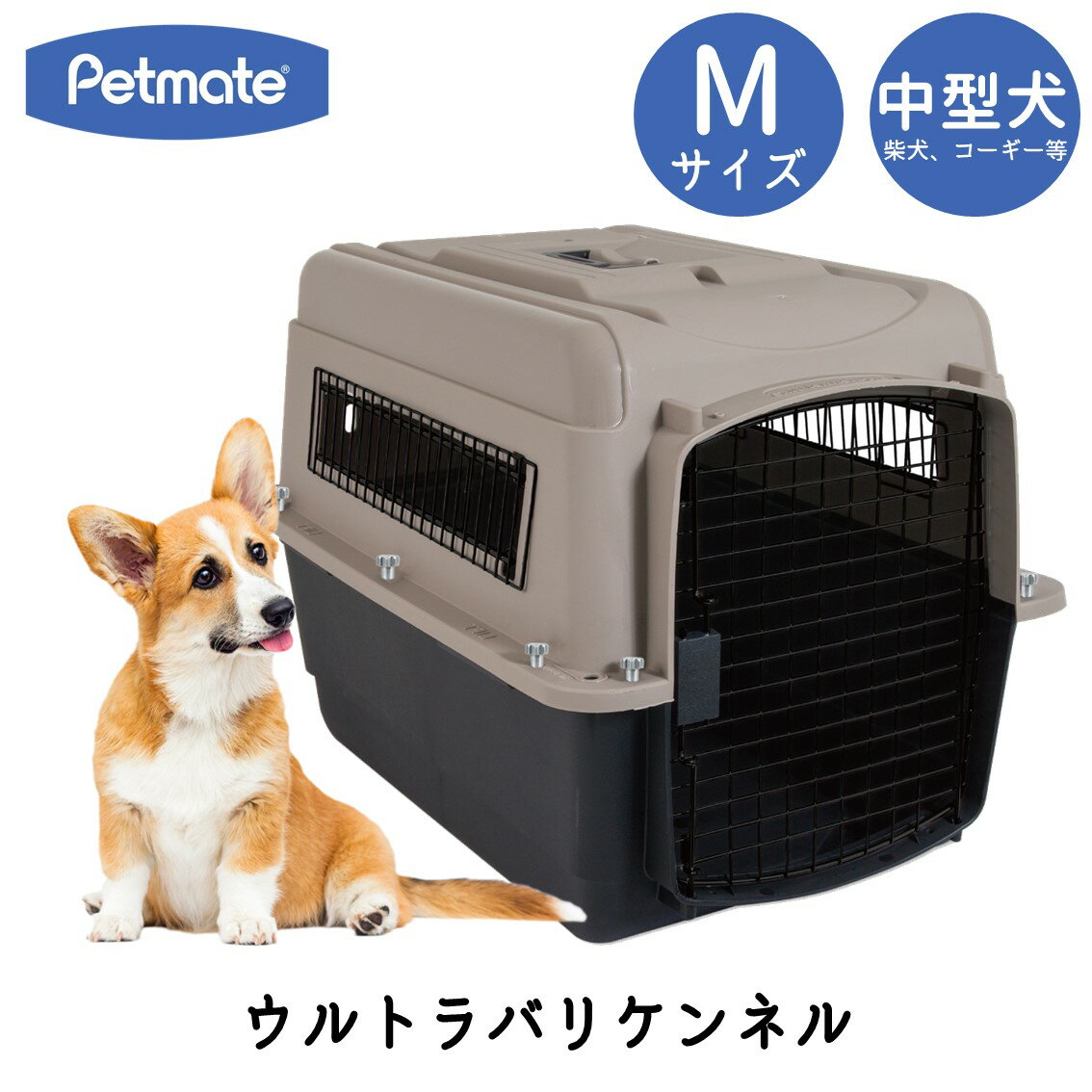 ハードキャリー 犬 クレート ハードクレート キャリー キャリーケース 小型犬 中型犬 送料無料 P ...