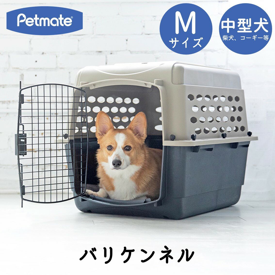 ハードキャリー 犬 クレート ハードクレート キャリー キャリーケース 小型犬 中型犬 送料無料 P ...