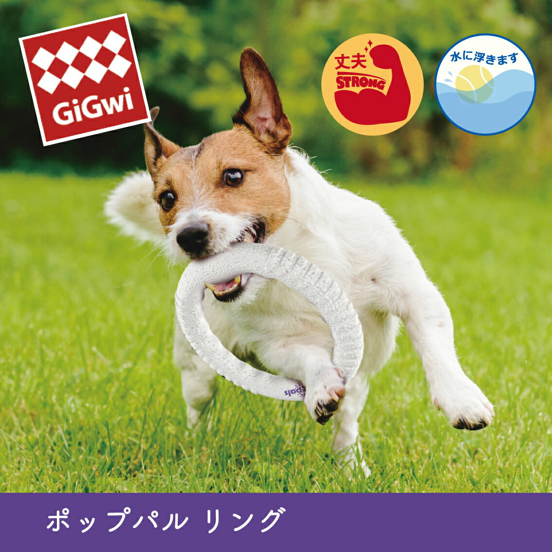 犬 ペット 犬おもちゃ 頑丈 壊れにくい 丈夫 インフィナジー素材 小型犬 中型犬 大型犬 GiGwi ギグウィ ポップパル リング FREEBIRD フリーバード