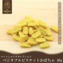 犬 おやつ 無添加 国産 野菜 トッピング おすすめ 安全 ベジタブルビスケット 北海道産 かぼちゃ 40g FREEBIRD フリーバード ペットシエスタセレクション