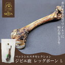犬 おやつ 無添加 鹿 しか 骨 ほね おすすめ 安全 糸島産 ジビエ鹿 レッグボーン L FREEBIRD フリーバード ペットシエスタセレクション