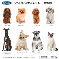 バリケンネルS