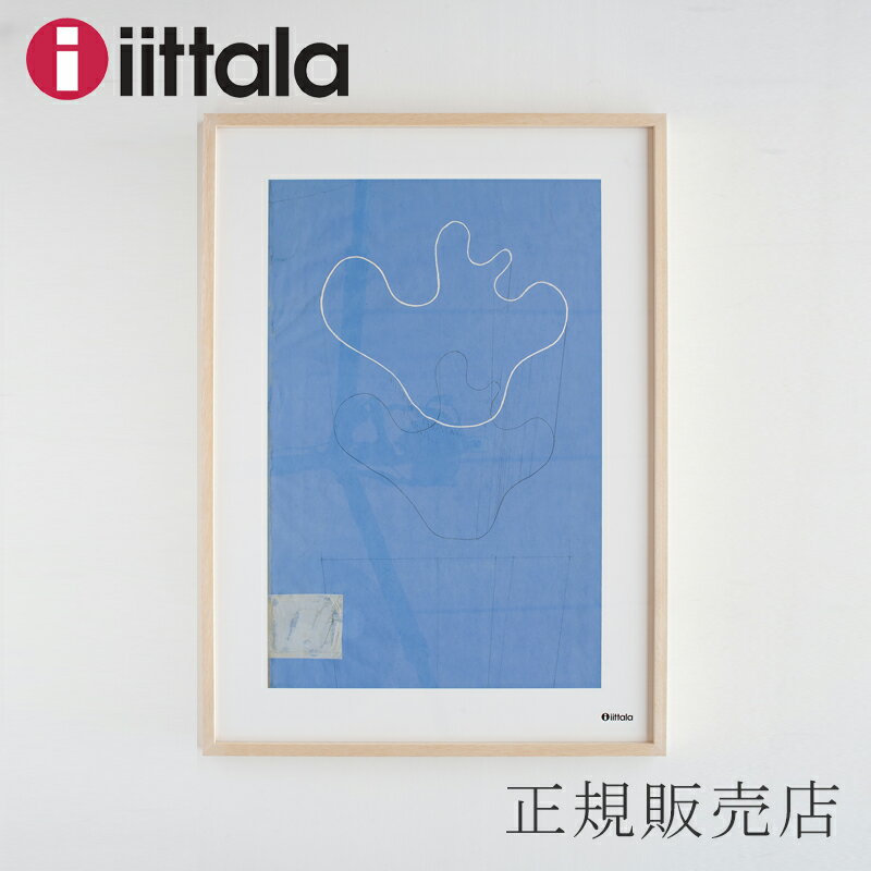 アートポスター 50×70cm （イッタラ／iittala）アルヴァ・アアルト スケッチ ブルー　ウッドフレーム