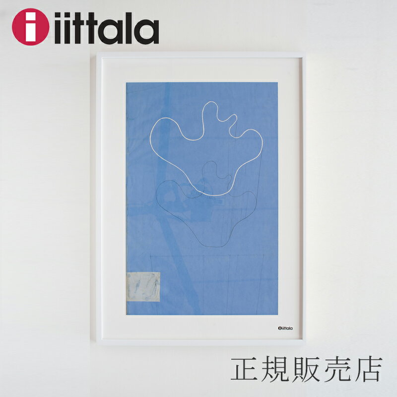 アートポスター 50×70cm （イッタラ／iittala）アルヴァ・アアルト スケッチ ブルー　ホワイトフレーム