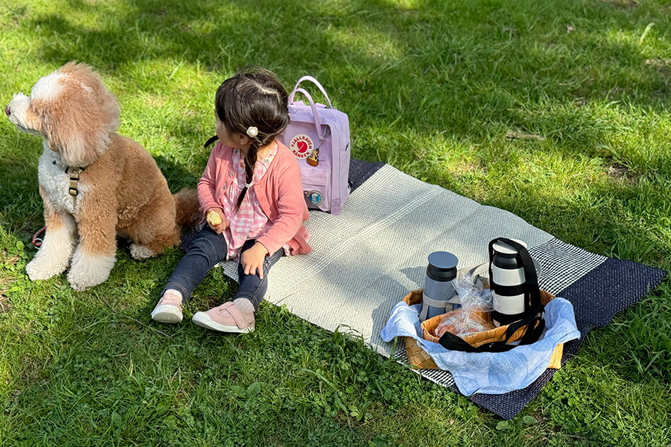 ����������ȥɥ� �饰 �������� �٥꡼ 70��100cm�ʥ֥꥿ ���������ǥ�BRITA SWEDEN��