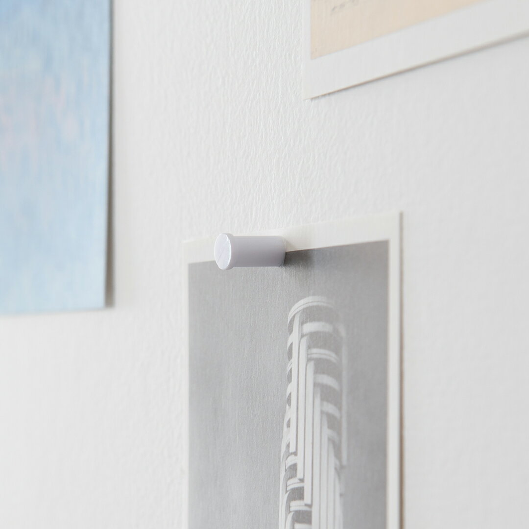 ニンジャピン 12個セット(プラスディー/+d)