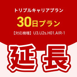 【延長専用】トリプルキャリアプラン専用　WiFiレンタル延長専用　ポケットWiFi　レンタルWiFi　ポケットWi-Fi　Wi-Fiルーター