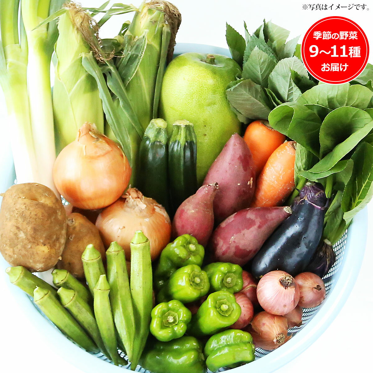 生産者限定 JAS認証有機野菜BOX Cセット【産直グルメ】