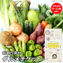 お取り寄せグルメチケット 生産者限定 JAS認証有機野菜BOX Cセット ギフト ギフト券 カタログギフト ギフトカード カードタイプ グルメカード 商品券 ギフトチケット