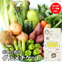 お取り寄せグルメチケット 生産者限定 JAS認証有機野菜BOX Bセット ギフト ギフト券 カタログギフト ギフトカード カードタイプ グルメカード 商品券 ギフトチケット