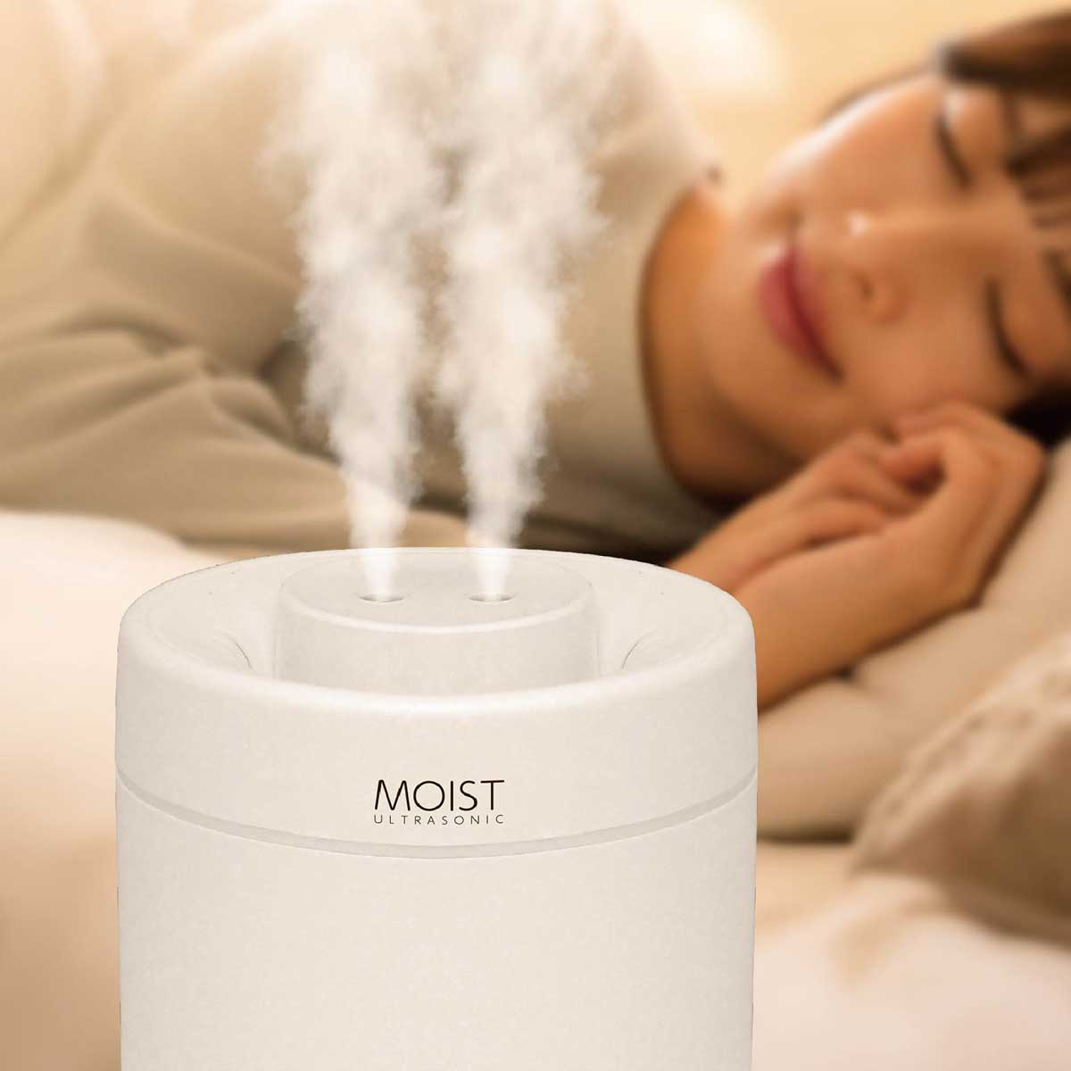 ビンゴ 景品【USB給電式ダブルミスト加湿器 3L】忘年会 ビンゴ景品 抽選会 キャンペーン ゴルフ コンペ..