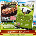 コンペ 景品 【目録ゴルフ・コンペ賞パネル付き 松阪牛サーロ...