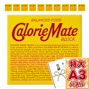 目録 パネル ビンゴ 景品 【選べるカロリーメイトブロック 1種お届け(3種から1種セレクト)】A3パネル ビンゴ景品 グルメギフト券 パネル付 忘年会 結婚式...