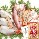 目録 パネル ビンゴ 景品 【日本海地魚一夜干し】A3パネル