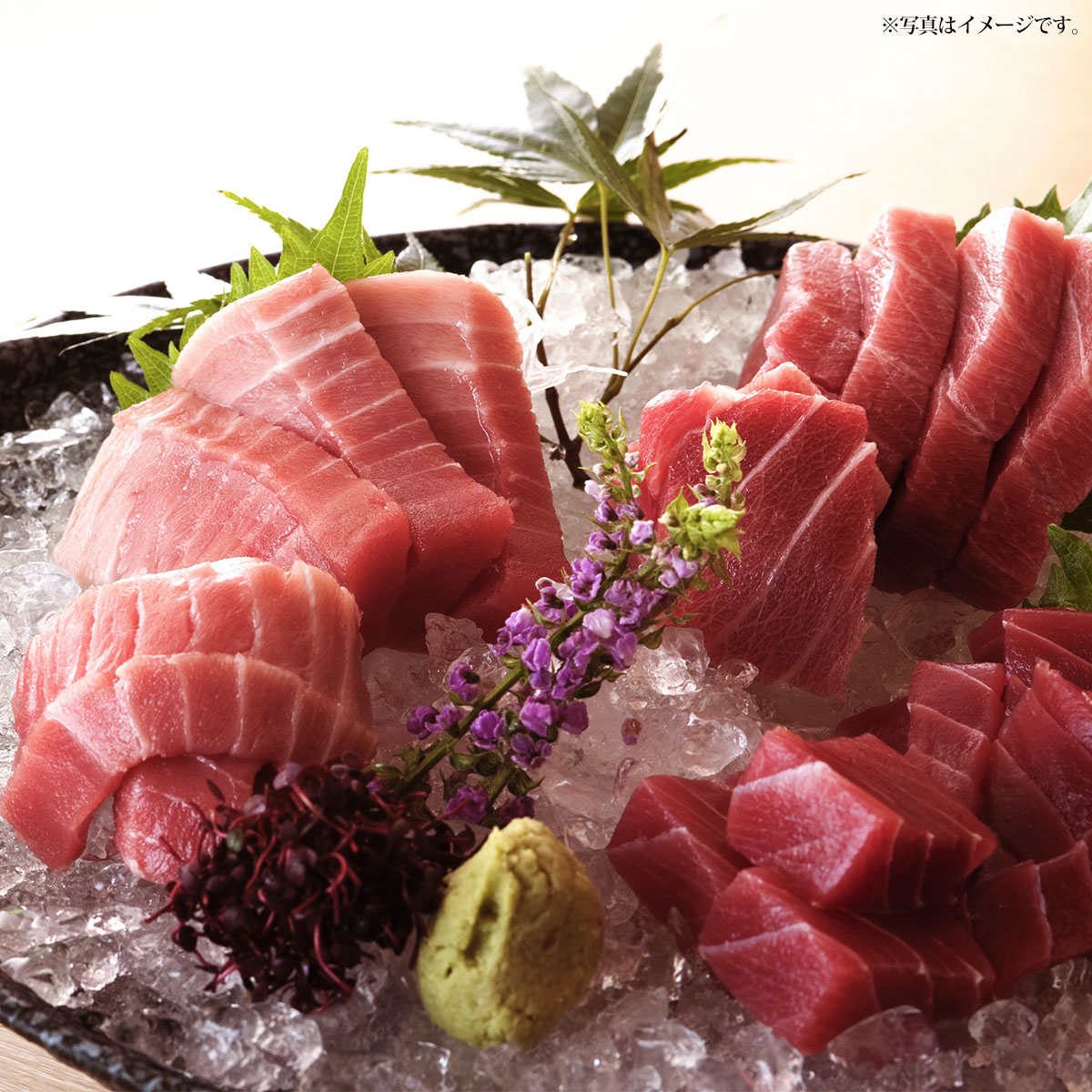 三浦三崎港 本まぐろ【産直グルメ】 ギフト グルメ 魚介 食品[送料無料 内祝い 誕生日 プレゼント お返し]のサムネイル