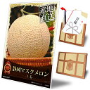 景品トレジャーセット 『静岡マスクメロン1玉』【目録引換券・A3パネル付き】