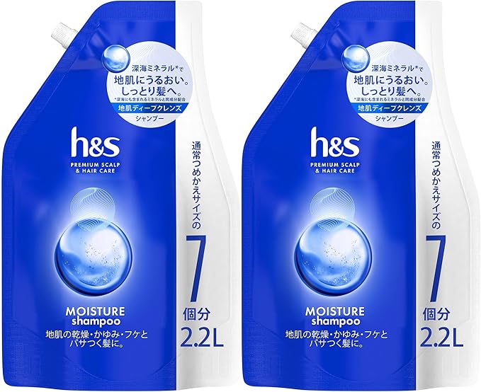 h&s モイスチャー シャンプー 詰め替え 超特大 2.2L × 2個セット エイチアンドエス P&G 乾燥 フケ かゆみ 頭皮ケア 大容量 業務用 メガサイズ まとめ買い ストック 家族
