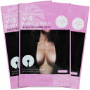 ■最大P10倍&クーポン エントリー&当店買い回り要■ ロロスキニー V-9 バスト パッチ 3パック入り LOLOSKINNY Breast Up Patch ブイナイン ブレストアップパッチ ボディケア バストケア 保湿