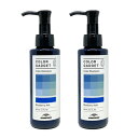 ■最大2100円OFFクーポン配布中■ ● 【2本セット】 ミルボン カラーガジェット カラーシャンプー 150ml ブルーベリーアッシュ 美容室専売 美容室 サロン 美容院 専売品 MILBON COLOR GADGET