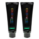 ■最大2100円OFFクーポン配布中■ ● 2本セット 資生堂 カラーミューズ バイ プリミエンス カラー クリーム 240g グリーン カラー剤 サロン専売 美容室専売 SHISEIDO