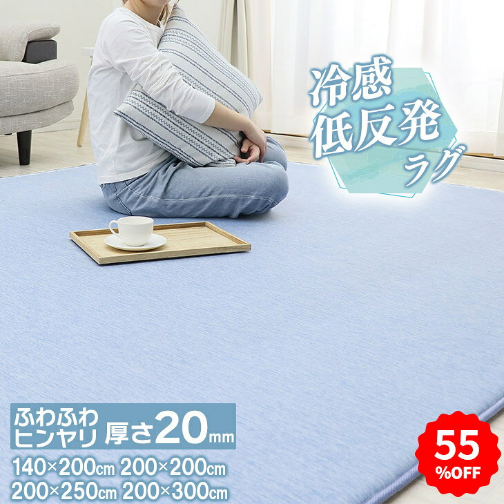 【55%オフクーポン】 ラグマット 夏用 接触冷感 カーペット 夏用 低反発 140×200cm 200×200cm 200×250cm 200×300cm ひんやり 厚20mm ふかふか 冷感 涼しい クールマット 節電 エコ 極厚 ラグマット 夏用 省エネ
