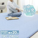 4日18時～24時P5倍！ラグマット 夏用 接触冷感 カーペット 夏用 低反発 190×240cm ひんやり 厚20mm ふかふか 冷感 涼しい クールマット 節電 エコ 極厚 ラグマット 厚手 おしゃれ 夏用 省エネ