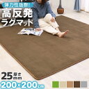 暮らし快適セール！【グッドプライス】 ラグ 高反発 極厚25mm 200×200cm カーペット 厚手 滑り止め ラグマット カーペット ホットカーペット対応 リビング 高反発ラグ 春 夏 フリーリー クッション性 防音