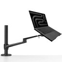 LOE(ロエ) タブレット ・ ノートパソコン アーム スタンド タブレット・ノートPC用 (ブラック)