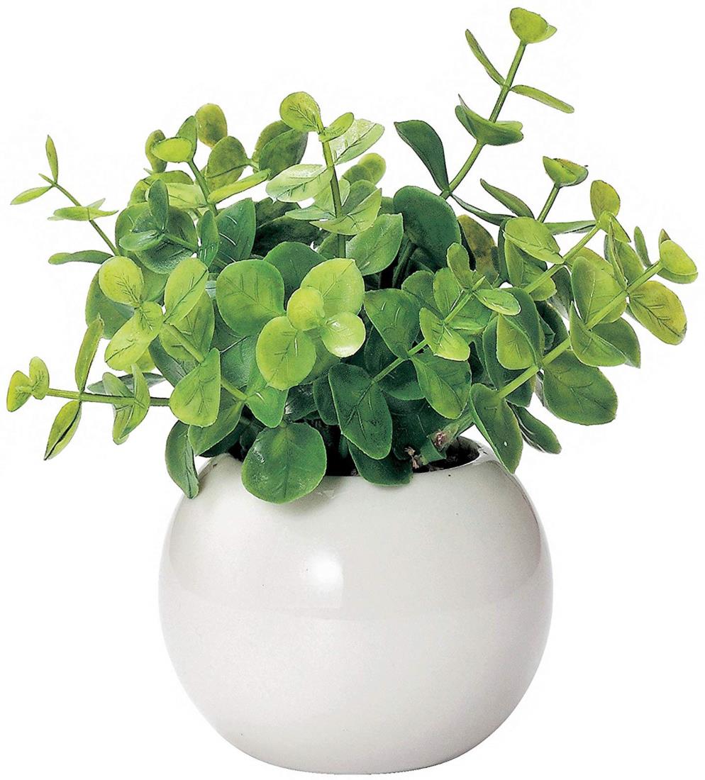 ミニ インテリアグリーン 造花 観葉植物 かわいい まあるい 光触媒 グリーン ユーカリ