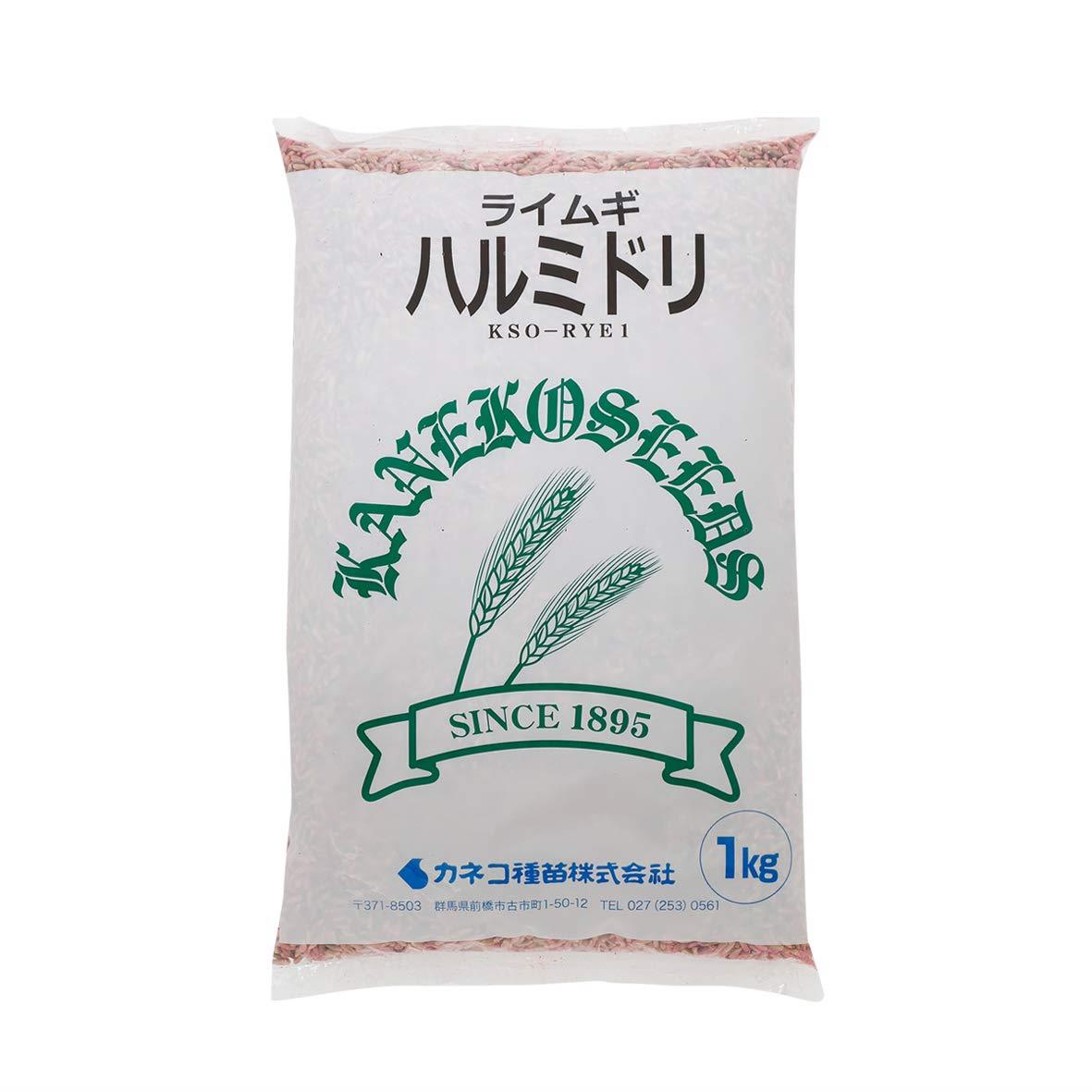 【種子】 ライムギ ハルミドリ 1kg カネコ種苗のタネのサムネイル