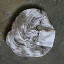 Amabro (アマブロ) Wood Plate 20 Natural (プレート・コースター)