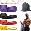 ロング 補助 ゴムバンド エクササイズバンド 筋トレ 強度別4本組 トレーニング 懸垂器具 ゴム チューブ レジスタンスバンド レジスタンスバンド チューブ 懸垂 ゴムバンド筋トレ 懸垂補助 ベルト トレーニングチューブ ループバンド ゴムチューブ 運動不足解消 ダイエット(4)