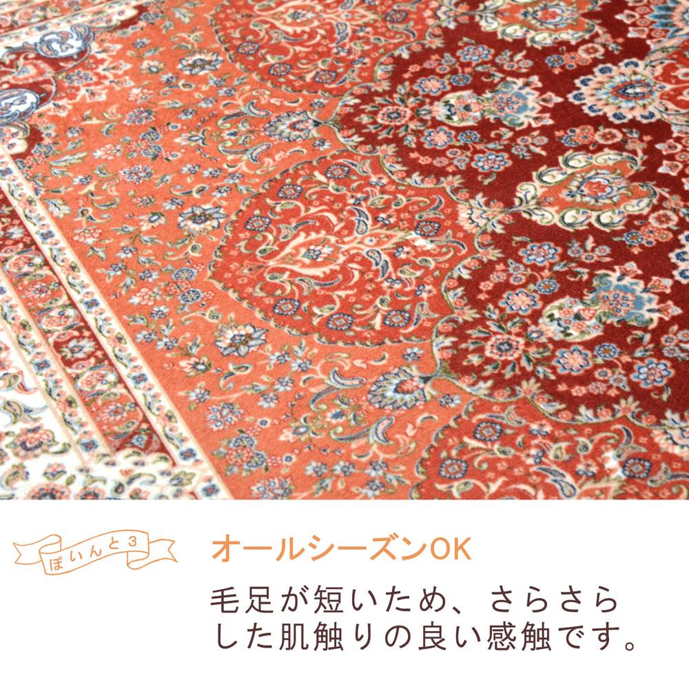 玄関マット 洗濯機OK 滑り止め・撥水加工付き プリシア 約50×80cm