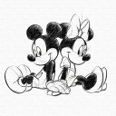 ディズニー ミッキー・ミニー アートパネル dsn-0249 30cm × 30cm