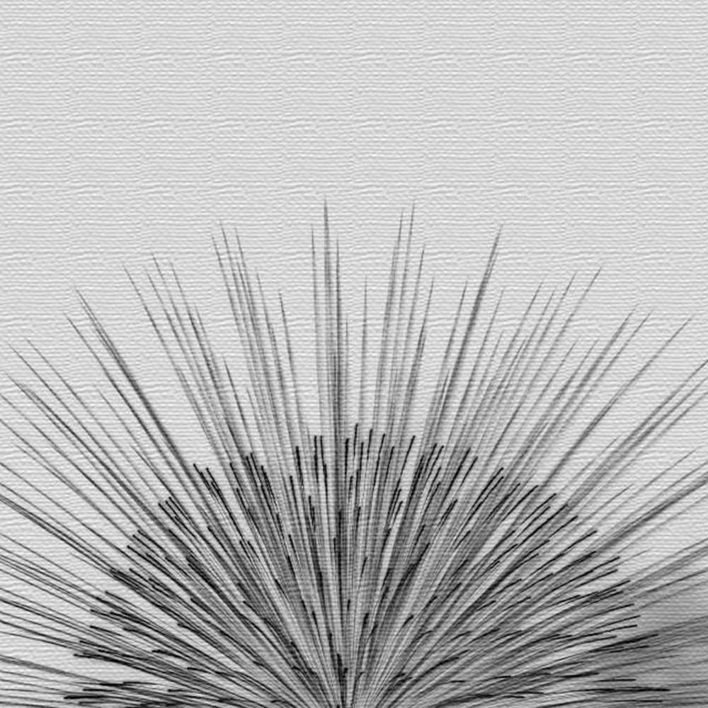 Ƿ ե֥åѥͥ hat-0013-vv 30cm  30cm