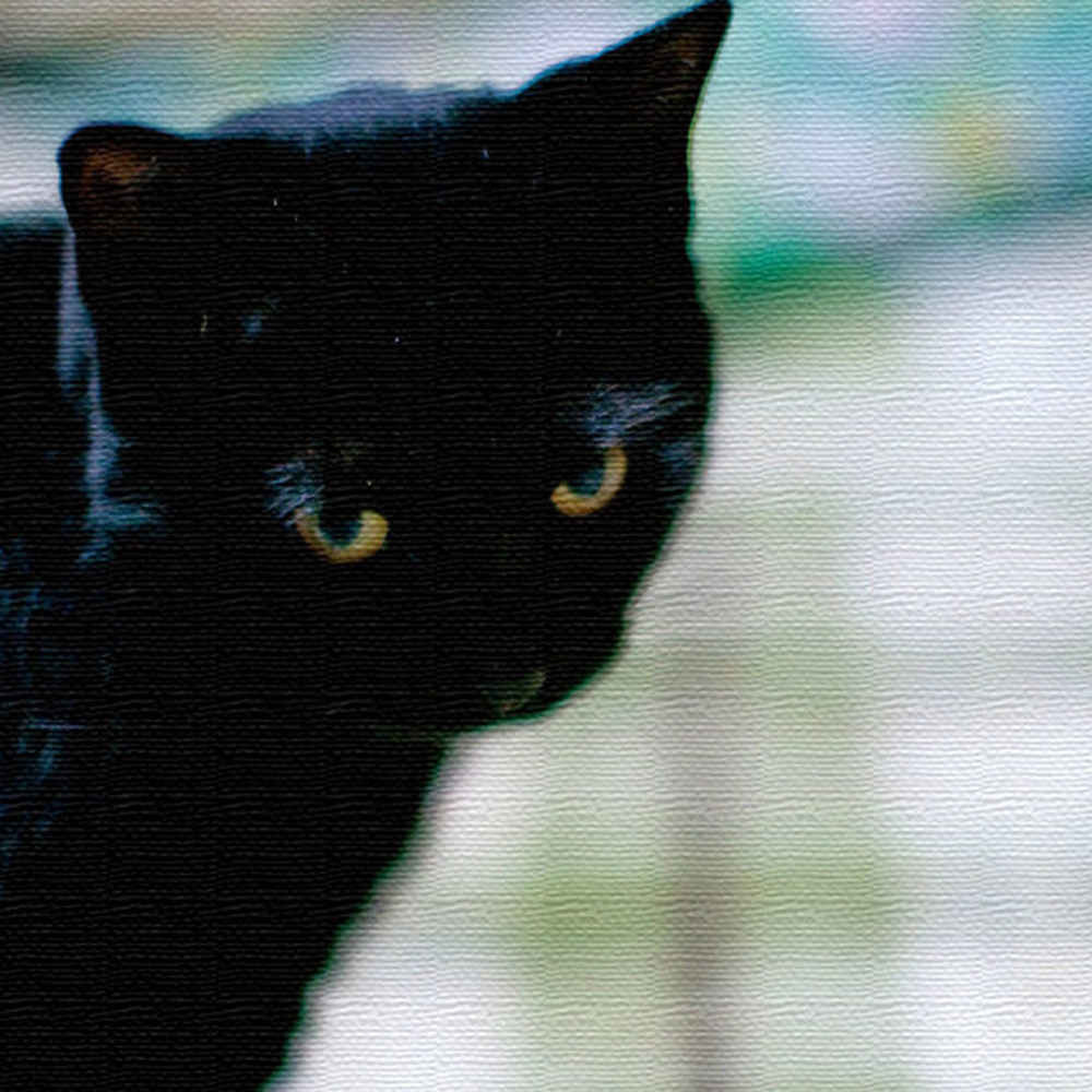 壁掛け インテリア ファブリックパネル 猫 pho-0030 57cm × 57cm