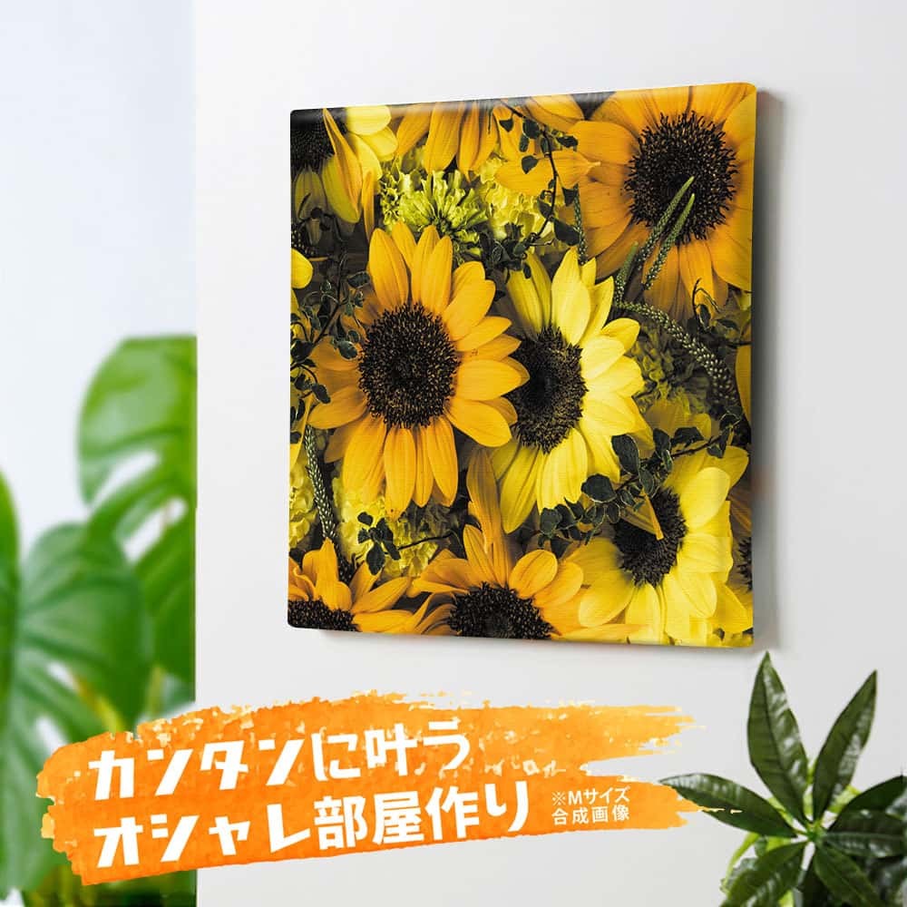 爆安プライス 竹内陽子 ファブリックパネル インテリア 雑貨 アート 花 写真 Yt 300 Yellow 008 57cm 57cm 本店は Firstclassfoods Com 爆安プライス 竹内陽子 ファブリックパネル インテリア 雑貨 アート 花 写真 Yt 300 Yellow 008 57cm 57cm 本店は Firstclassfoods Com
