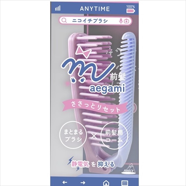 ニコイチブラシ NB-480