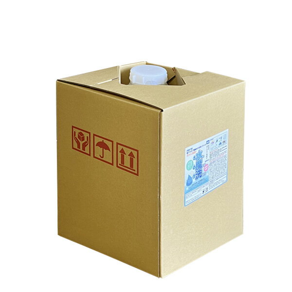 強アルカリ電解水 強アルカリ電解水水魔洗10L DKW10L 電解水 洗浄用 多目的 油汚れ 除菌 キッチン お風呂