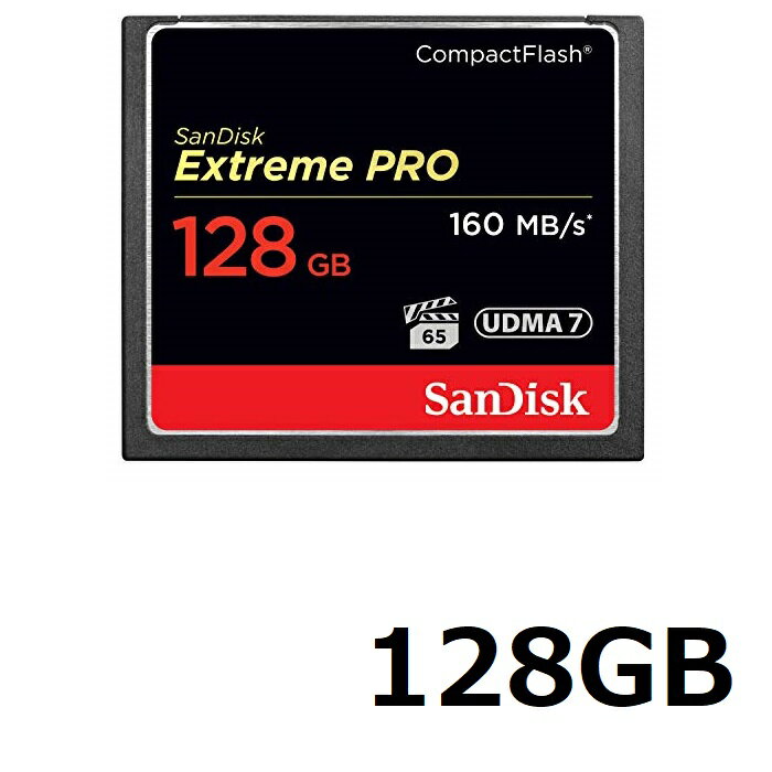 コンパクトフラッシュカード 128GB Sa