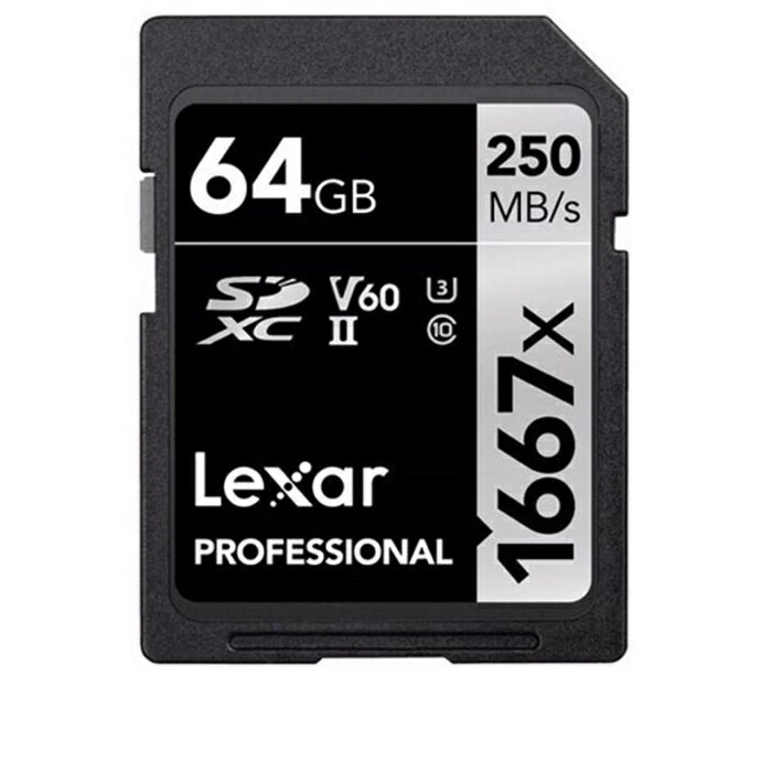 y}\Z[ P5{!z Lexar SDXC SDJ[h PROFESSIONAL SILVER Series 64GB LSD64GCB1667 SDXCJ[h SD LT[ Class10 sAi