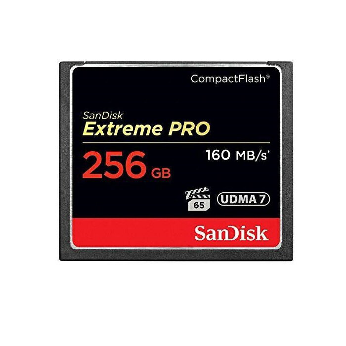 コンパクトフラッシュカード 256GB Sa