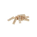 Redecker(レデッカー)/洗濯バサミ小/100個セット/4.5cm/753845 新生活 引っ越し 母の日 実用的 インテリア