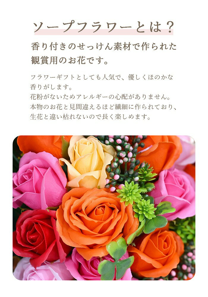 ������̵���ۥ����ץե� �֡��� �ץ쥼��� ���顼����ܥ�ե��֡��� �ӥå��֡��� ��« �ܥå����դ� ����� ��Ϸ���� ���ե� �ץ쥼��� �Ϥ�ʤ��� �Х� ������ �ե� ������ ���� ���ˤ� ��ǰ�� ´�ȼ� ��Ź�ˤ� �࿦�ˤ� �ۥ磻�ȥǡ� ���ͼ� SF-GM-3966