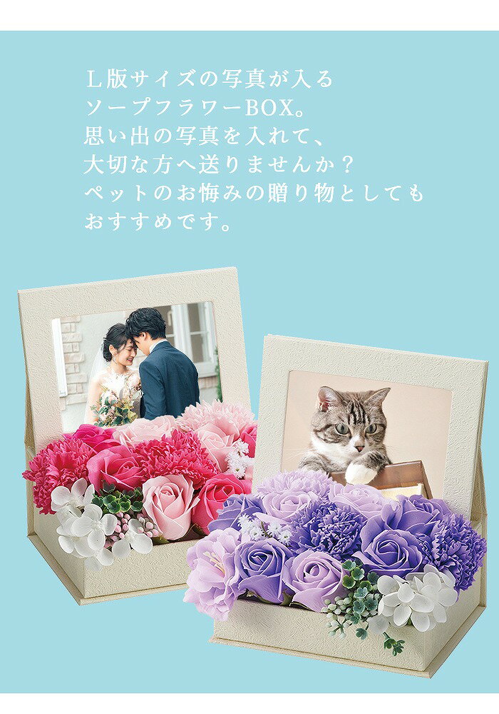 ����̵�� �ץ쥼��� �� �����ץե� �̿�Ω�� ����ܥ�ե��ե��ȥե졼��BOX ������ ������ ´�ȼ� �֡��� ��« ������ ��ǰ�� �뺧 ������ ����� �ץ����ե� �࿦�ˤ� �ե����ե� ������� �İ��� �ۥ磻�ȥǡ� �Х� �ԥ� �ѡ��ץ� �ڥå� SF-GM-4134