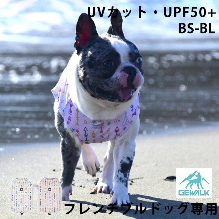 GEWALK 糰к UVå UPF50+ 󥯥ȥå BS BM BLե֥ɥå   ư䤹  ®...
