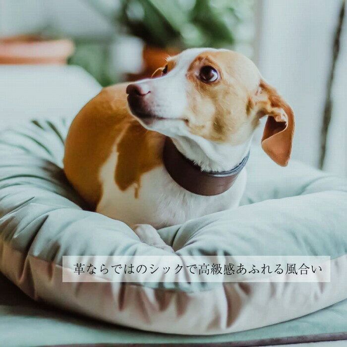 イタグレ 首輪 VIP CW15/32 本格ブルレザー使用 革 犬具 犬用 中型犬 首回り26から32cm イタリアferplast社製 犬 くびわ おしゃれ かわいい 革 かっこいい 高級 散歩 輸入品 丈夫 強 IG75137958