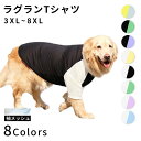 大型犬 Tシャツ 犬 服 夏 3XL?8XL メッシュ ゴールデンレトリバー ラブラドル ハスキー シェパード 秋田犬 配色切り替え ラグランTシャツ ドッグウェア 春 抜け毛対策 ペット 犬服 伸縮性 シンプル KM958TS