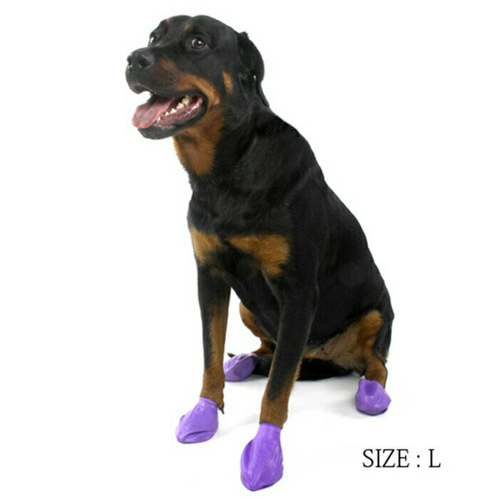 【12枚 L】PAWZ ドッグブーツ 12足入り 中型犬 大型犬 犬の靴 ドッグシューズ ゴムブーツ dog ポウズ ゴム風船 ラバーシューズ 犬 快適 風船 ソックス 肉球保護 熱い道路 犬の靴下 12枚セット 雨の日 汚れ防止 滑り止め レインシューズ 防水 パープル PZ0105-L